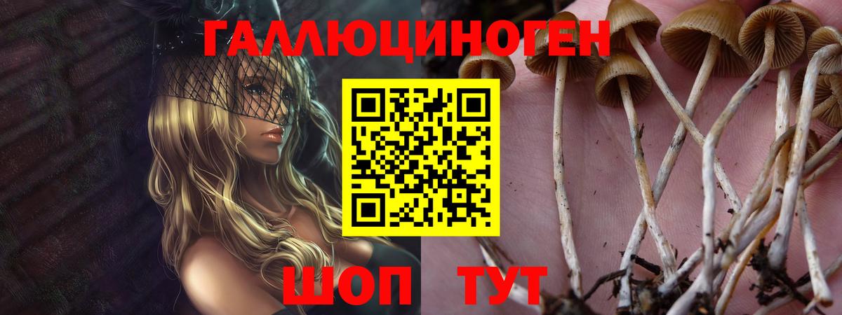 Псилоцибиновые грибы ЛСД  Вход с VPN  Партизанск 